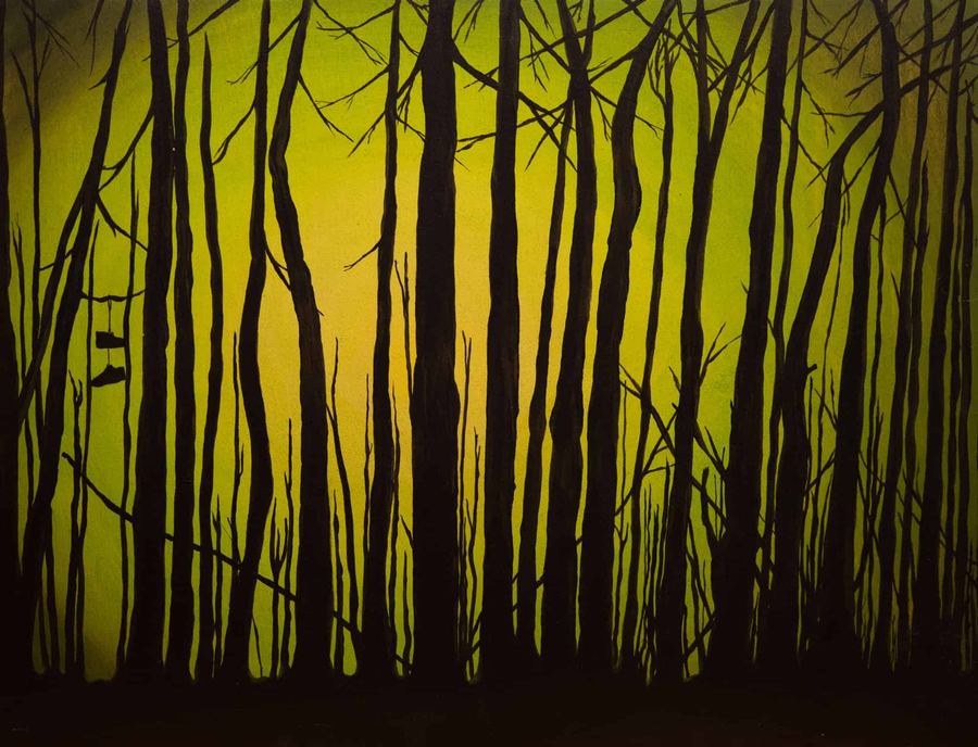 Lumière d'insomnie