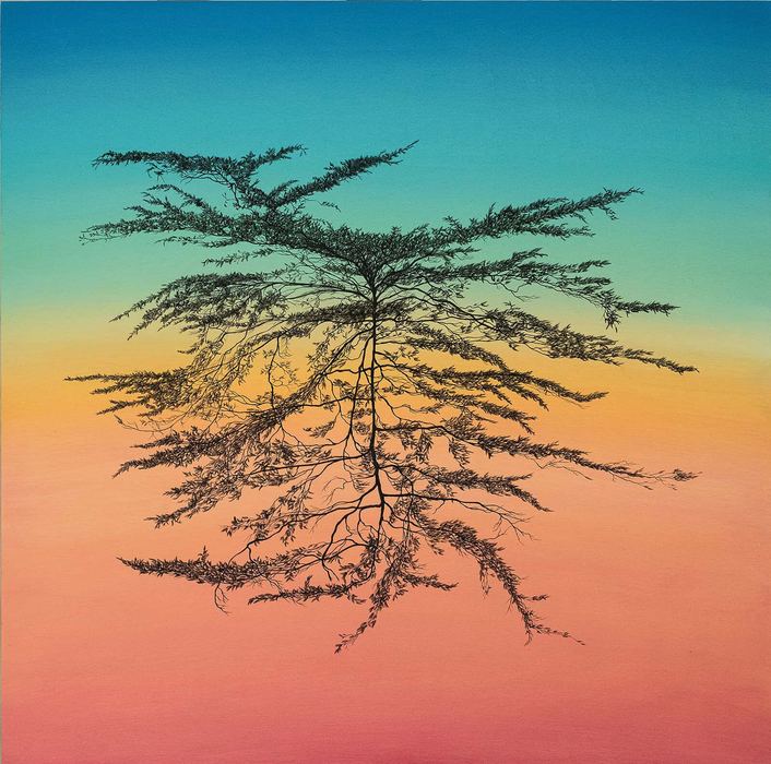 L’épineuse question de la femme invariable